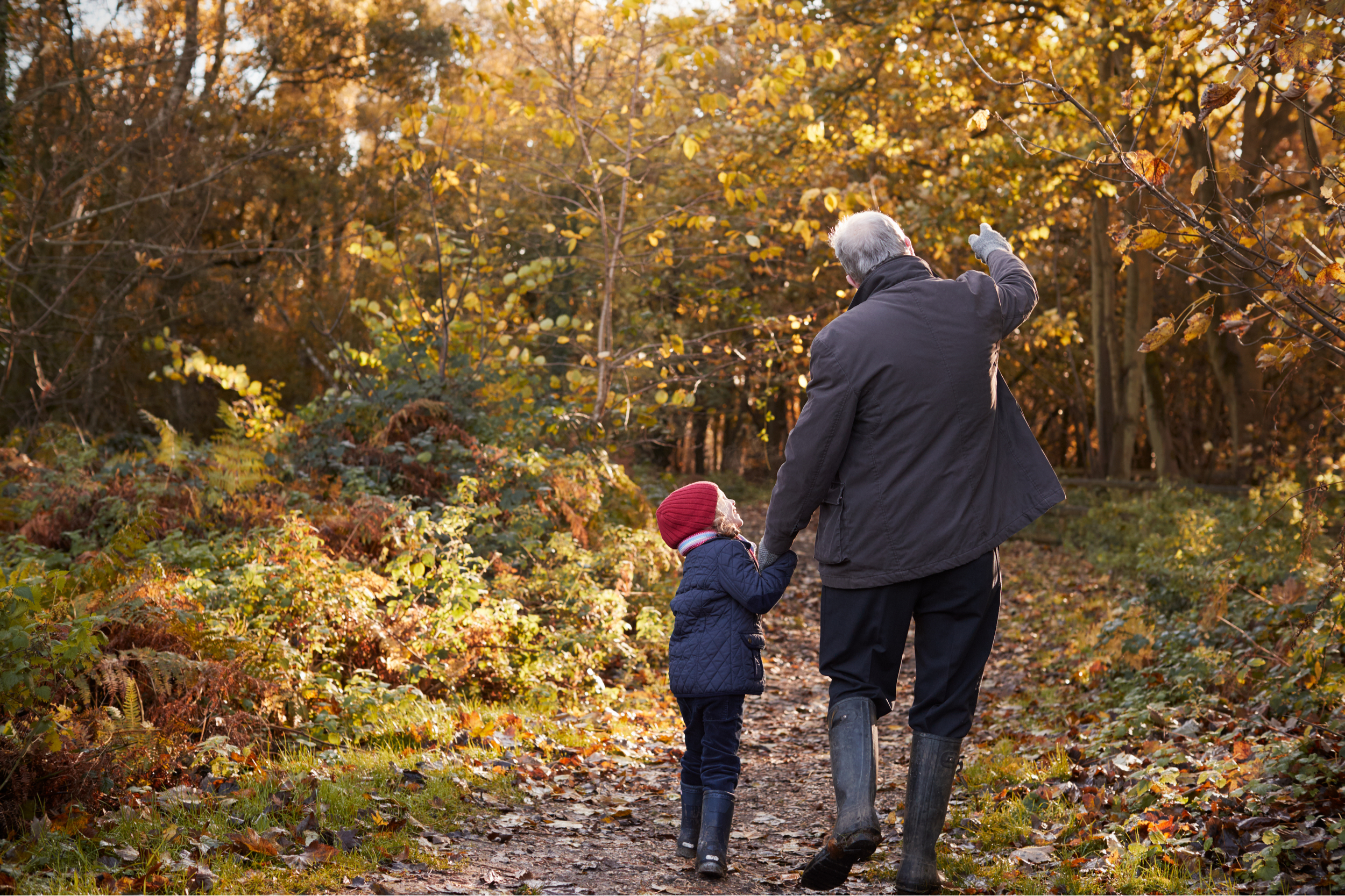 A grandfather and granddaughter on an autumn walk.