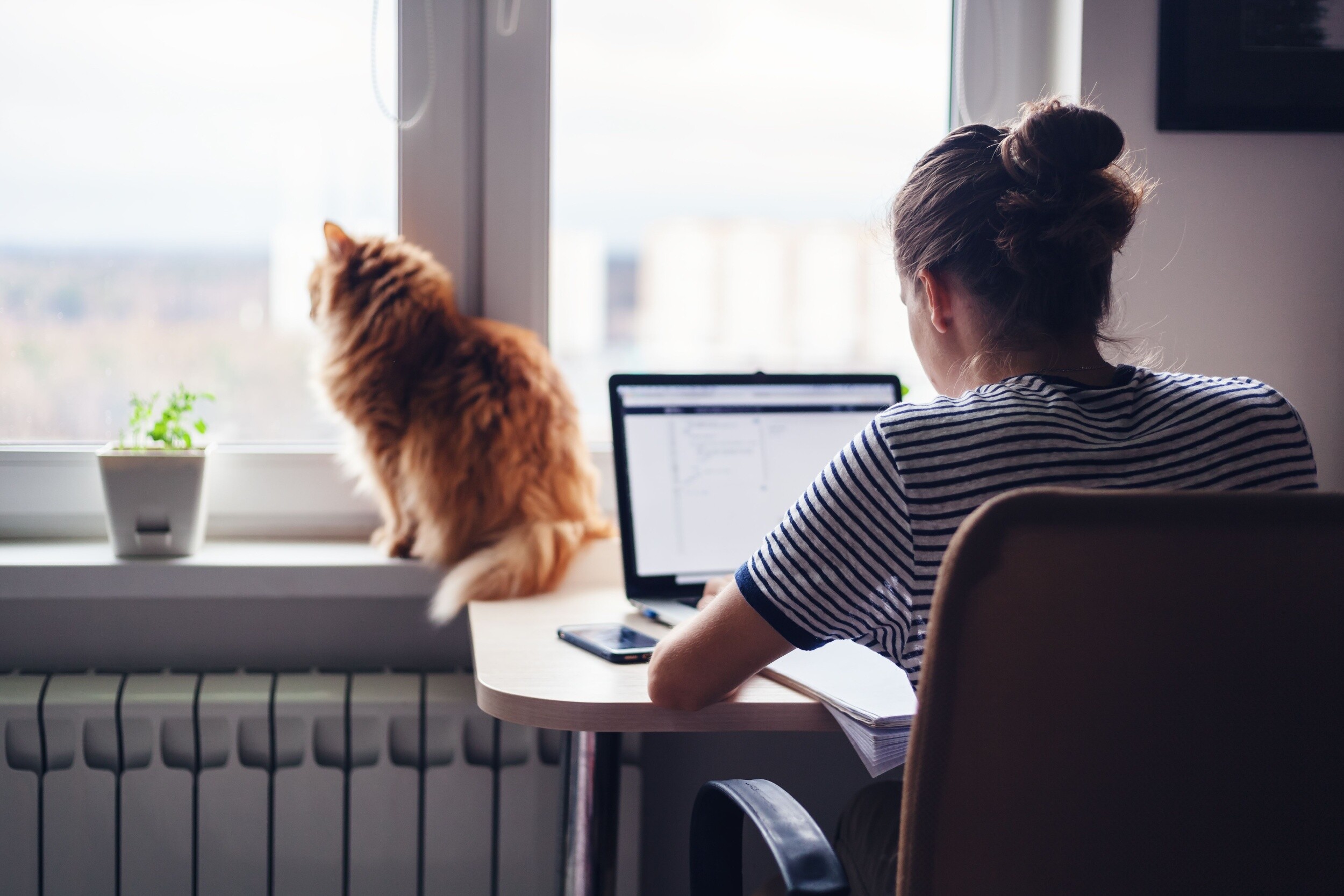 A woman working from home with a cat sitting on her windowsill.