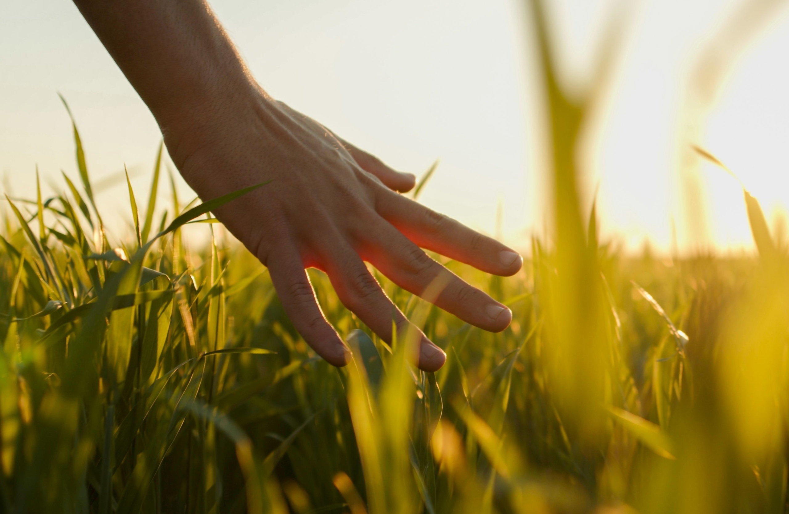 Someone touching grass.