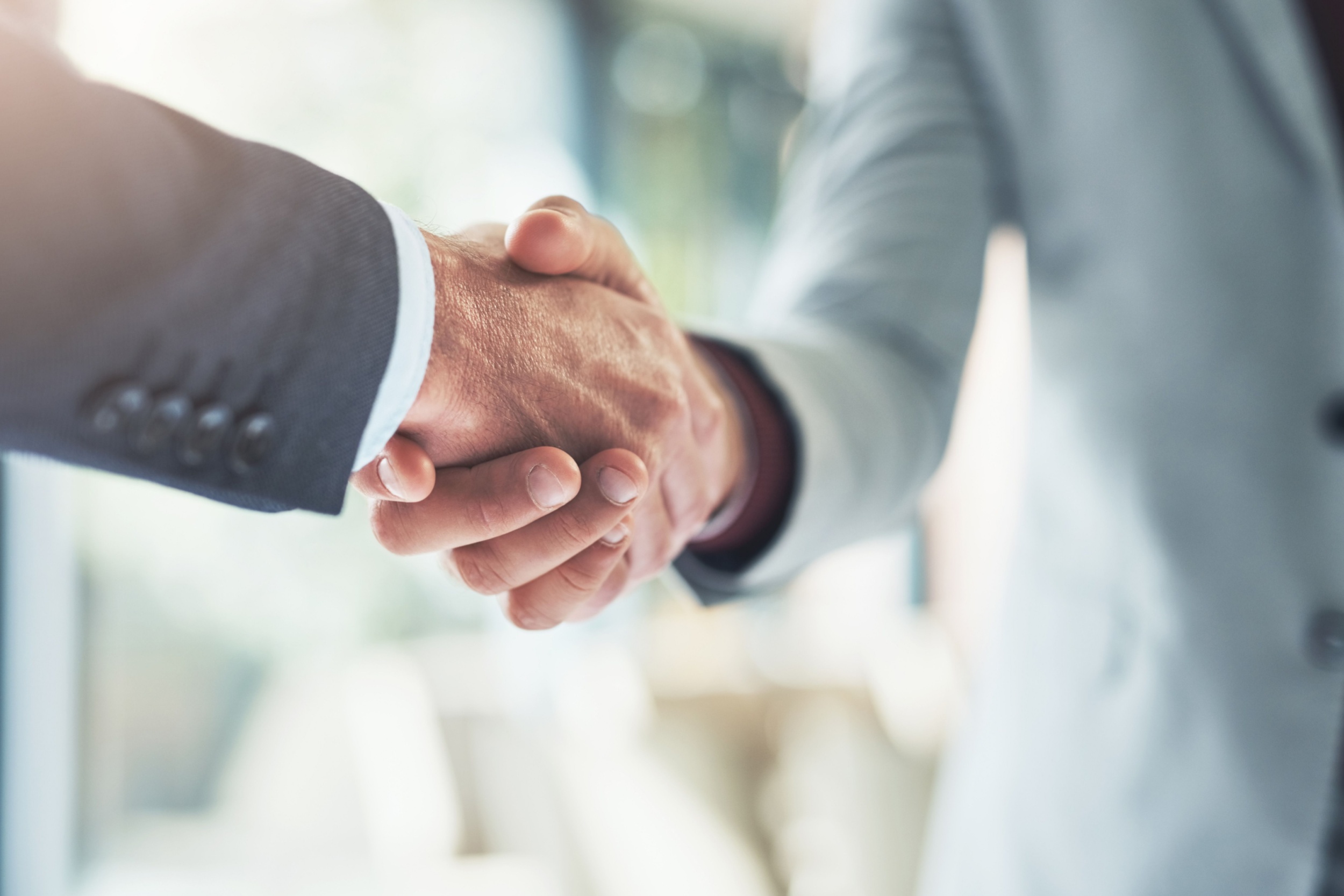Two people shaking hands.