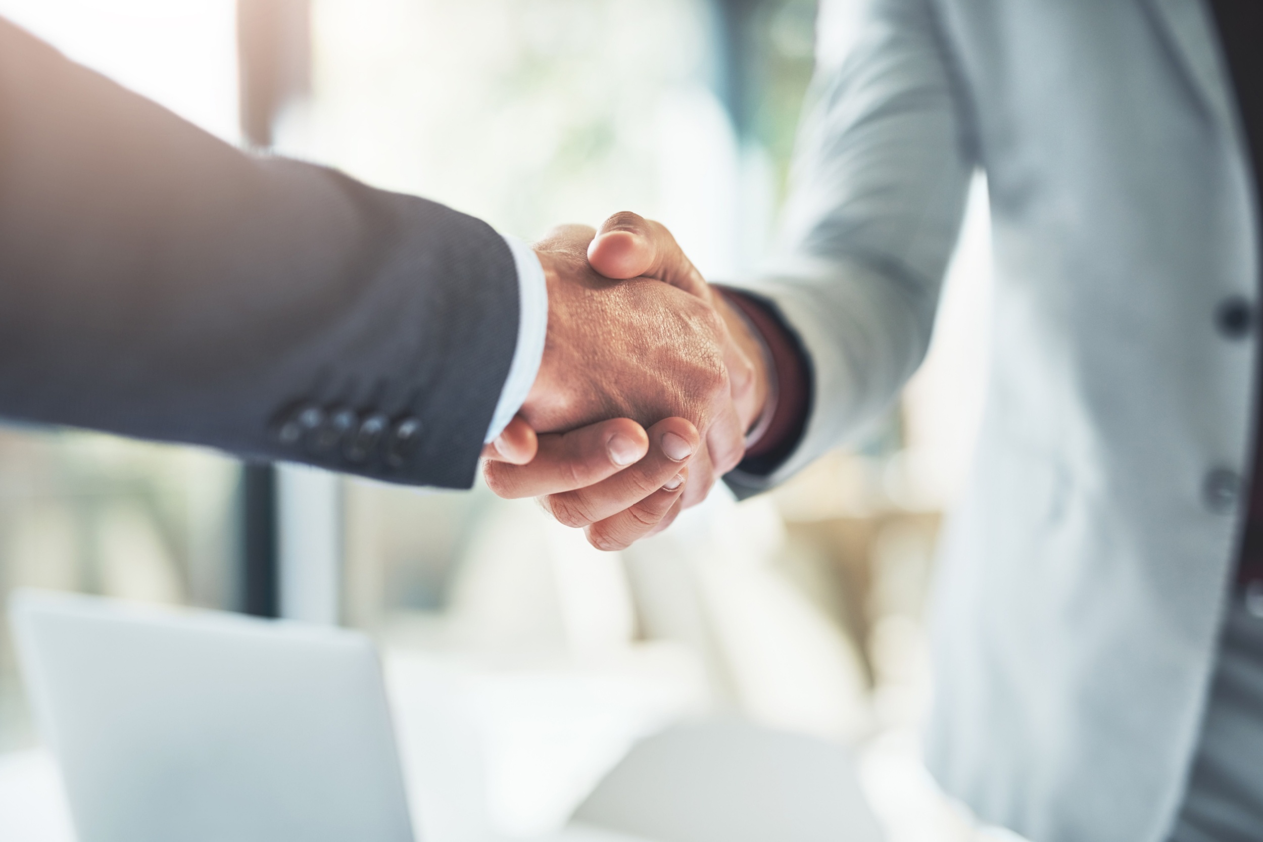 Two people shaking hands.
